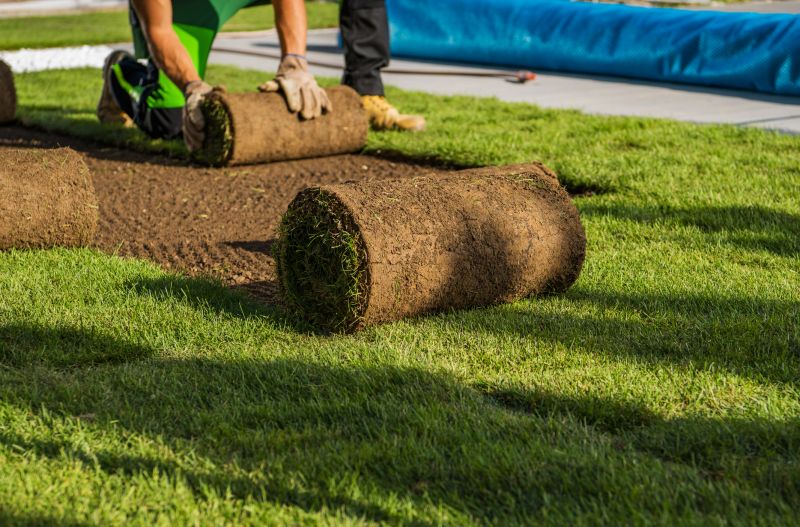 Lawn Grading Process