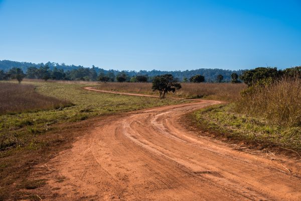 Dirt Driveway Repair in Abilene